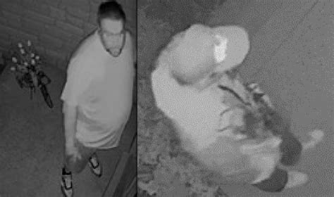 Suspects sought in break.